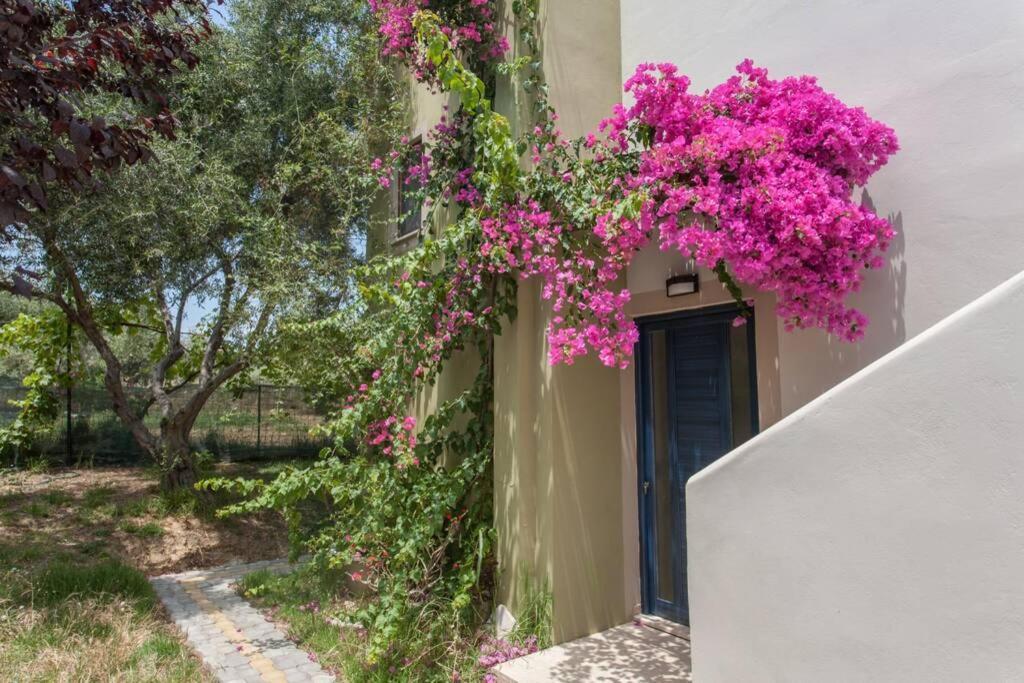 Villa Manolis Chania  Екстер'єр фото